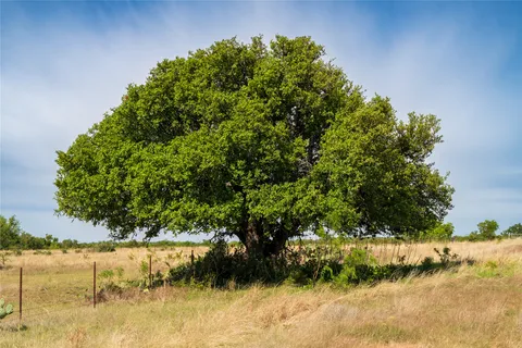 $3,625,000 | 12350-125 Highway 16, Fredericksburg, TX 78624