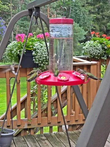 $349,900 | 6564 Lambert Lane, Laona, WI 54541