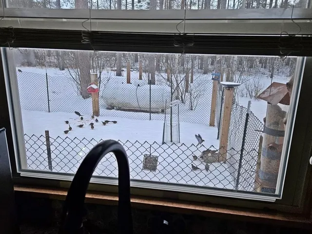 $349,900 | 6564 Lambert Lane, Laona, WI 54541