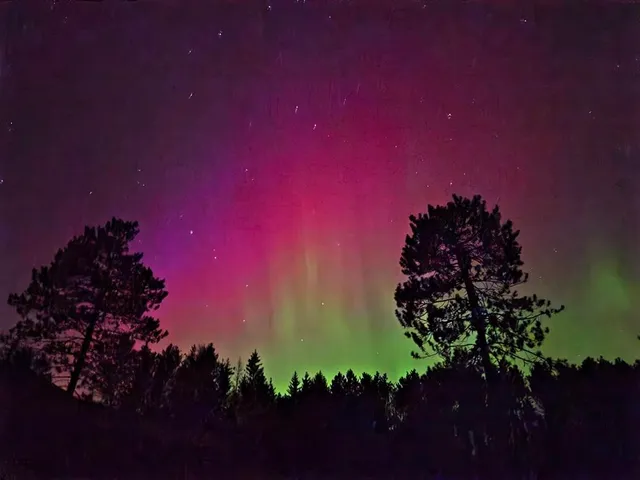 $349,900 | 6564 Lambert Lane, Laona, WI 54541