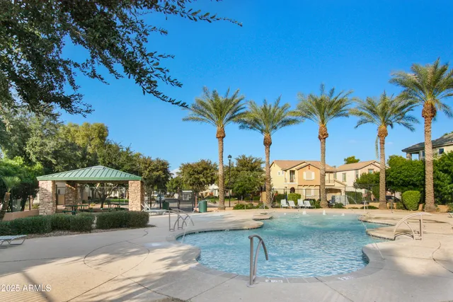 a park with large trees