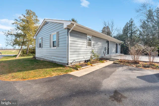 a view of a house with a yard and large tree