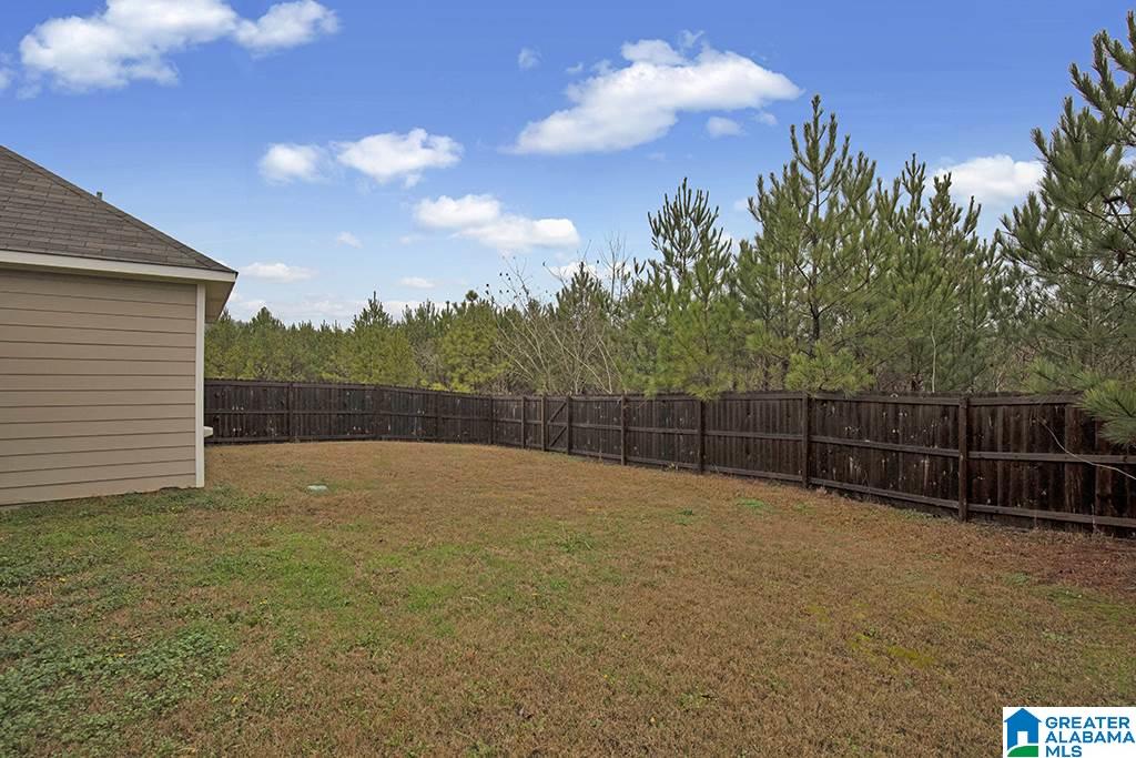 5265 Jean Ridge Lane Odenville, AL 35120 - Photo 4 of 19