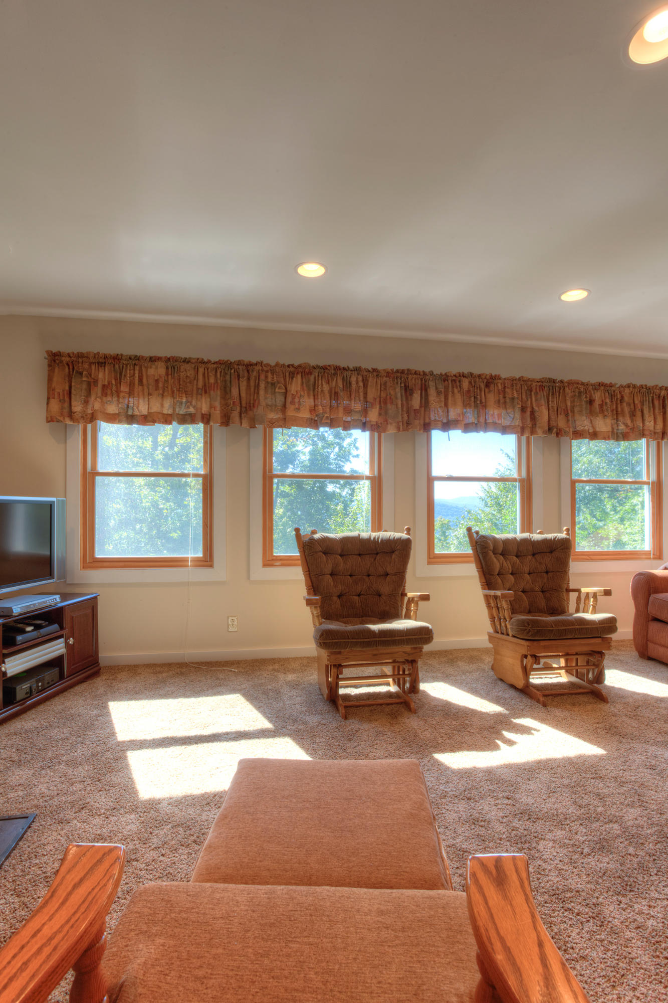 453 Racoon Lane Pioneer, TN 37847 - Photo 12 of 36 Living Room_004