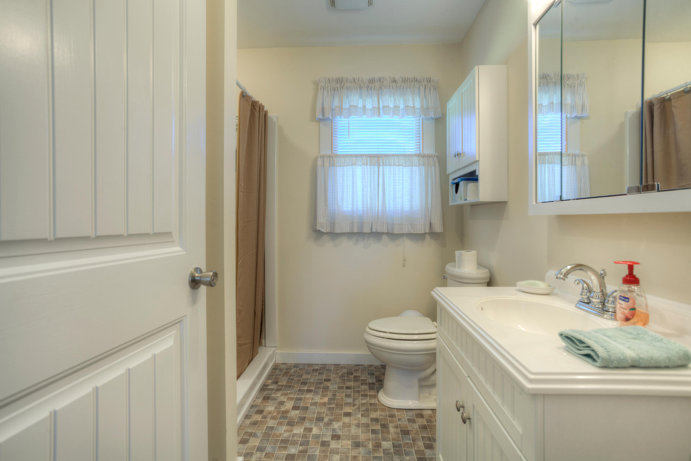 453 Racoon Lane Pioneer, TN 37847 - Photo 18 of 36 Guest Bath_004
