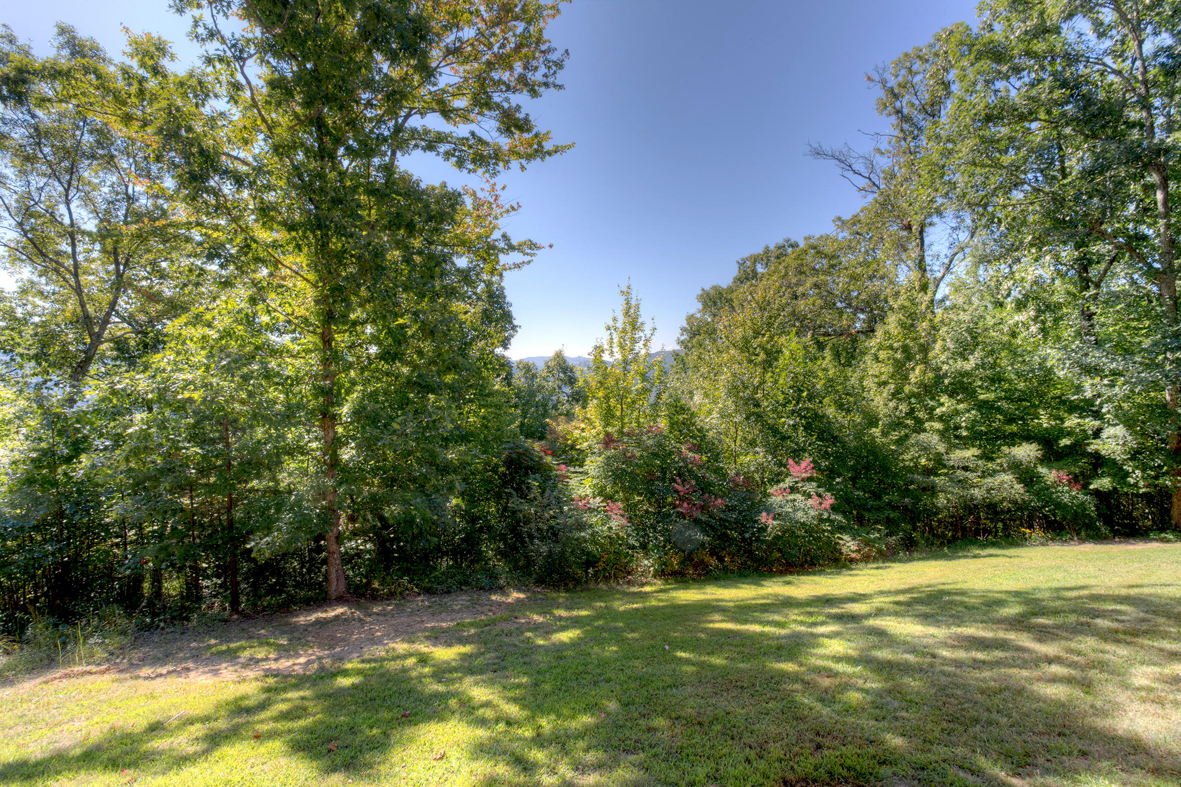 453 Racoon Lane Pioneer, TN 37847 - Photo 24 of 36 Exterior_006