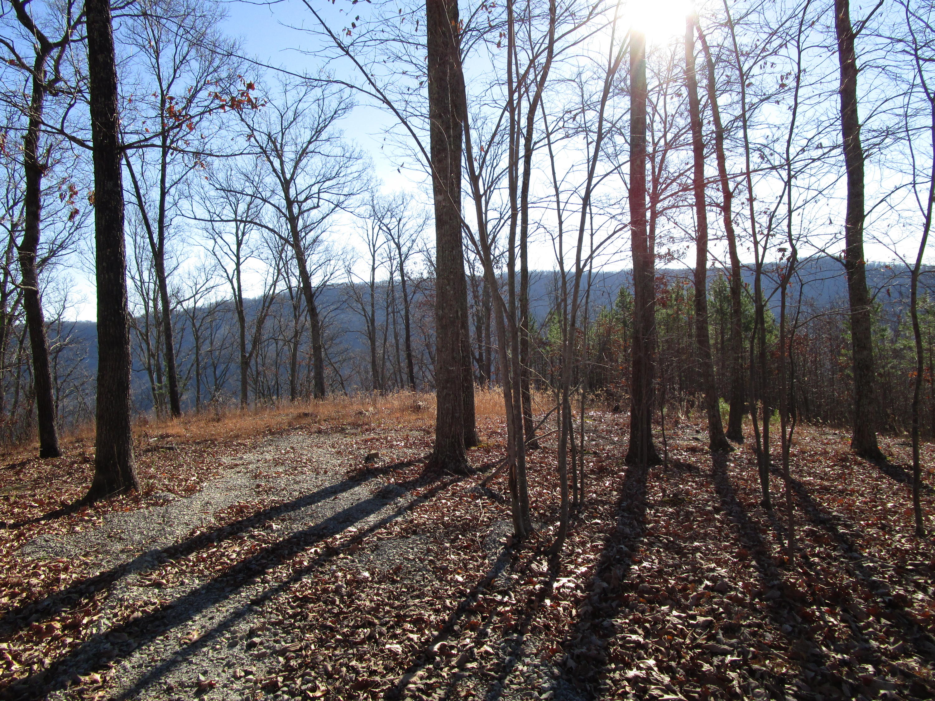 453 Racoon Lane Pioneer, TN 37847 - Photo 32 of 36 IMG_2361