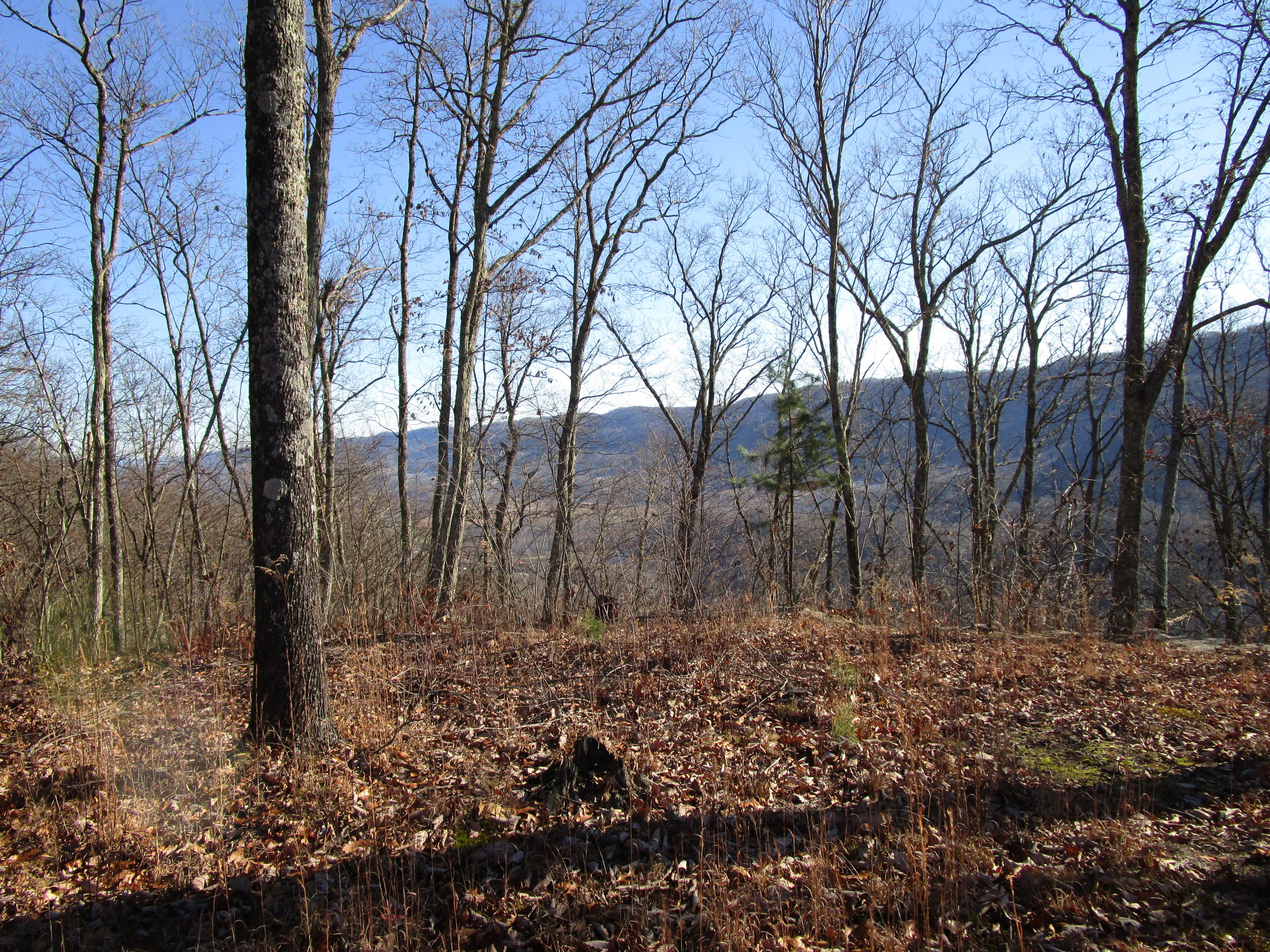 453 Racoon Lane Pioneer, TN 37847 - Photo 33 of 36 IMG_2363