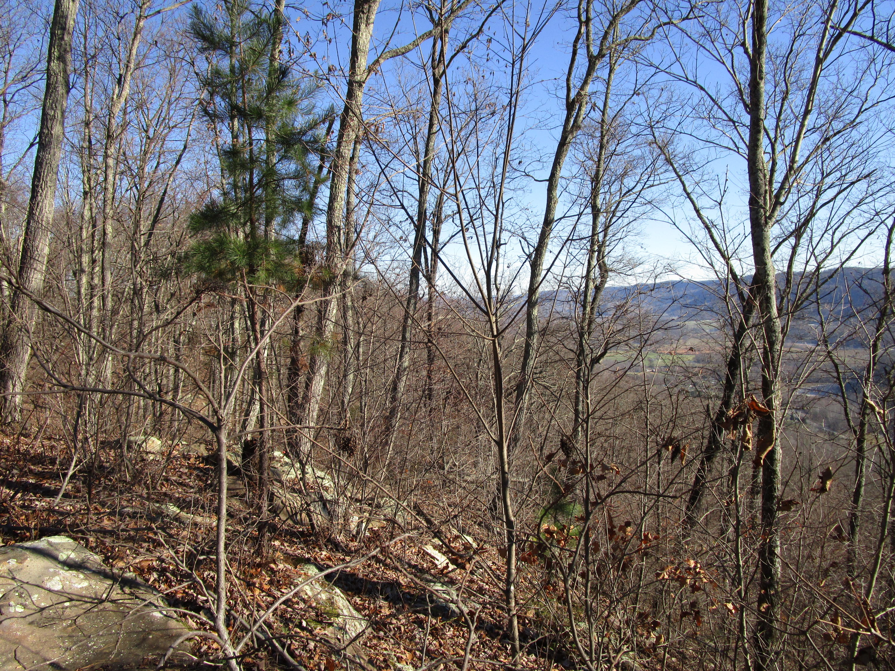 453 Racoon Lane Pioneer, TN 37847 - Photo 34 of 36 IMG_2365