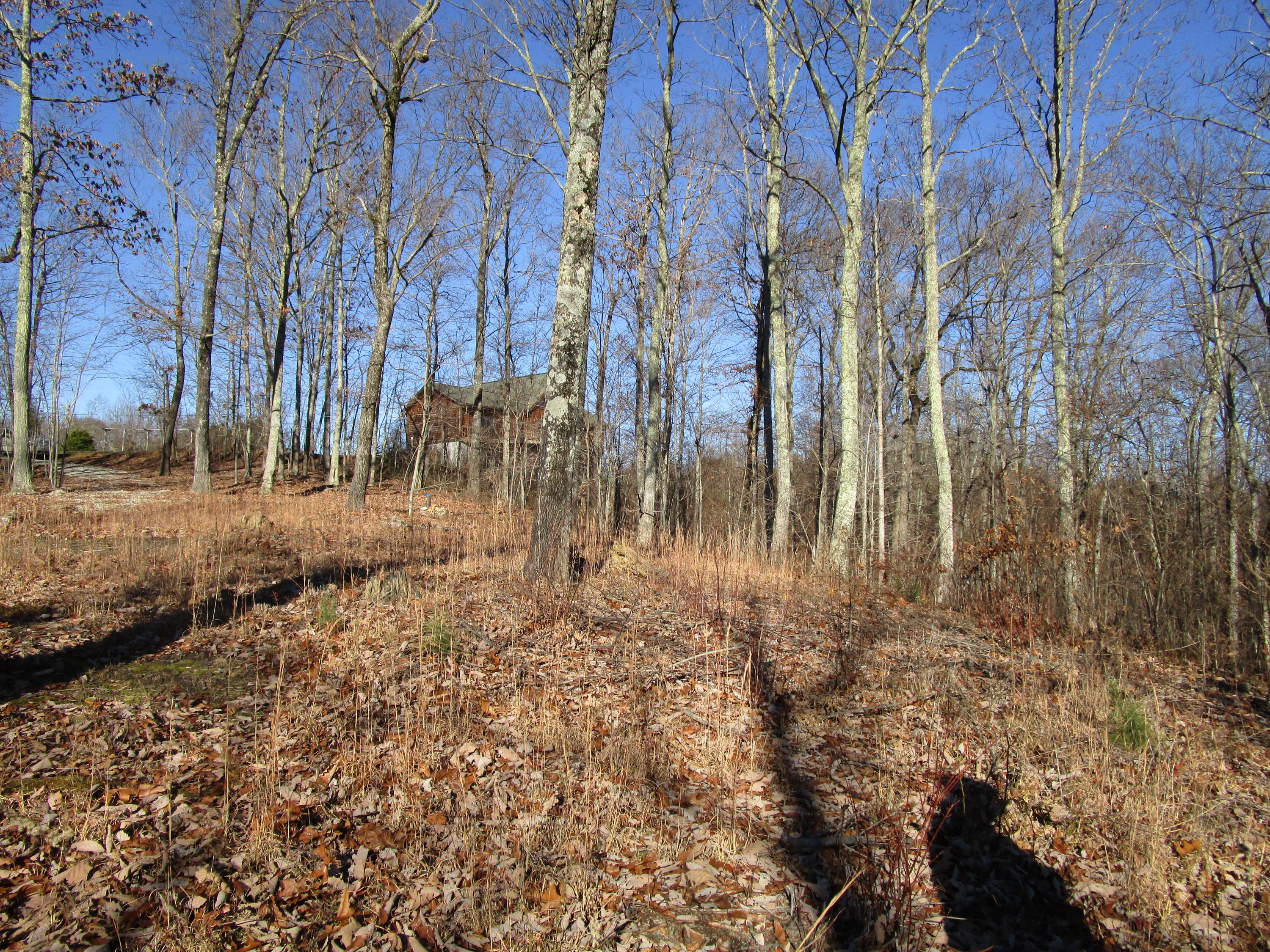 453 Racoon Lane Pioneer, TN 37847 - Photo 35 of 36 IMG_2366