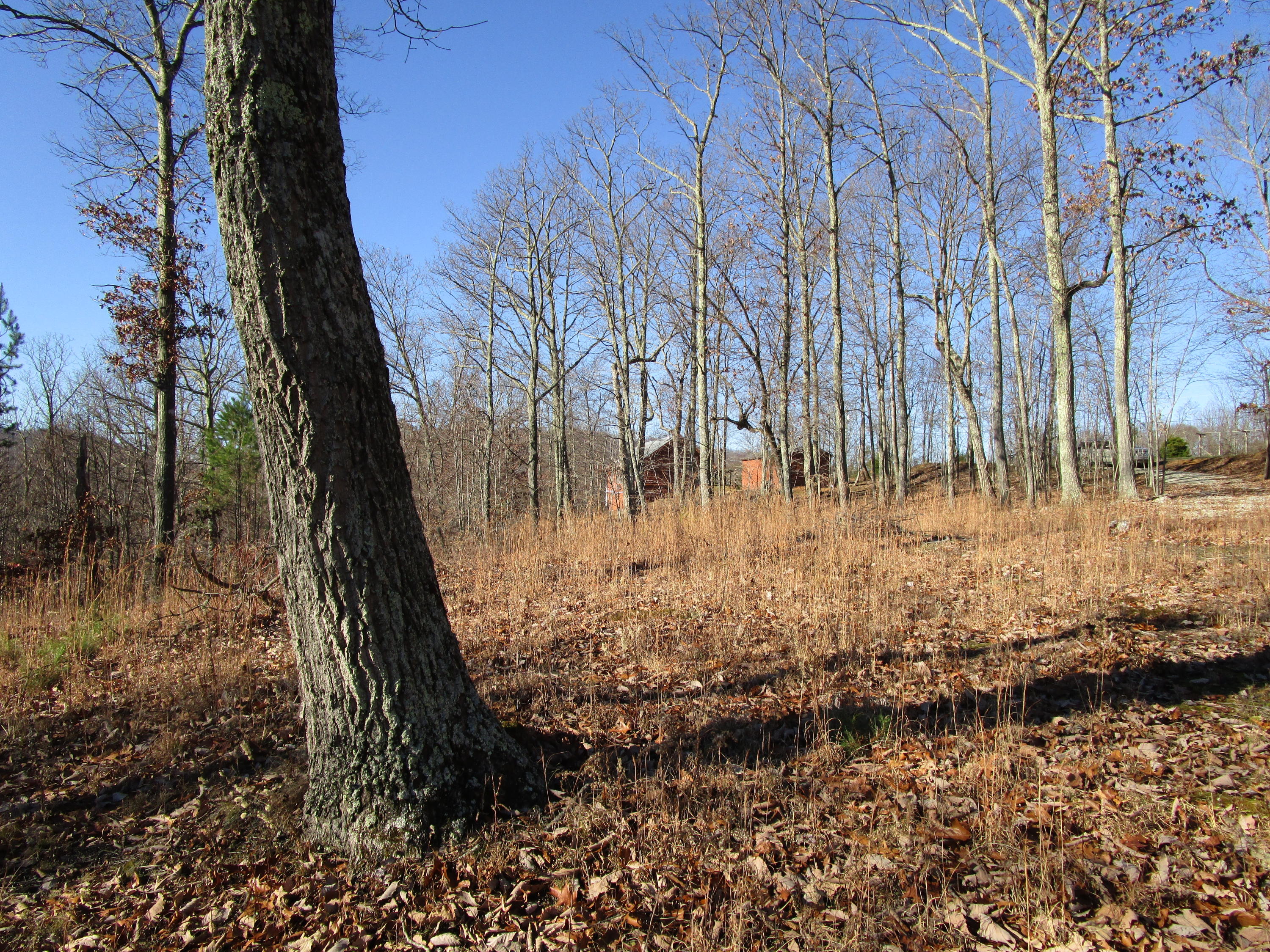 453 Racoon Lane Pioneer, TN 37847 - Photo 36 of 36 IMG_2367