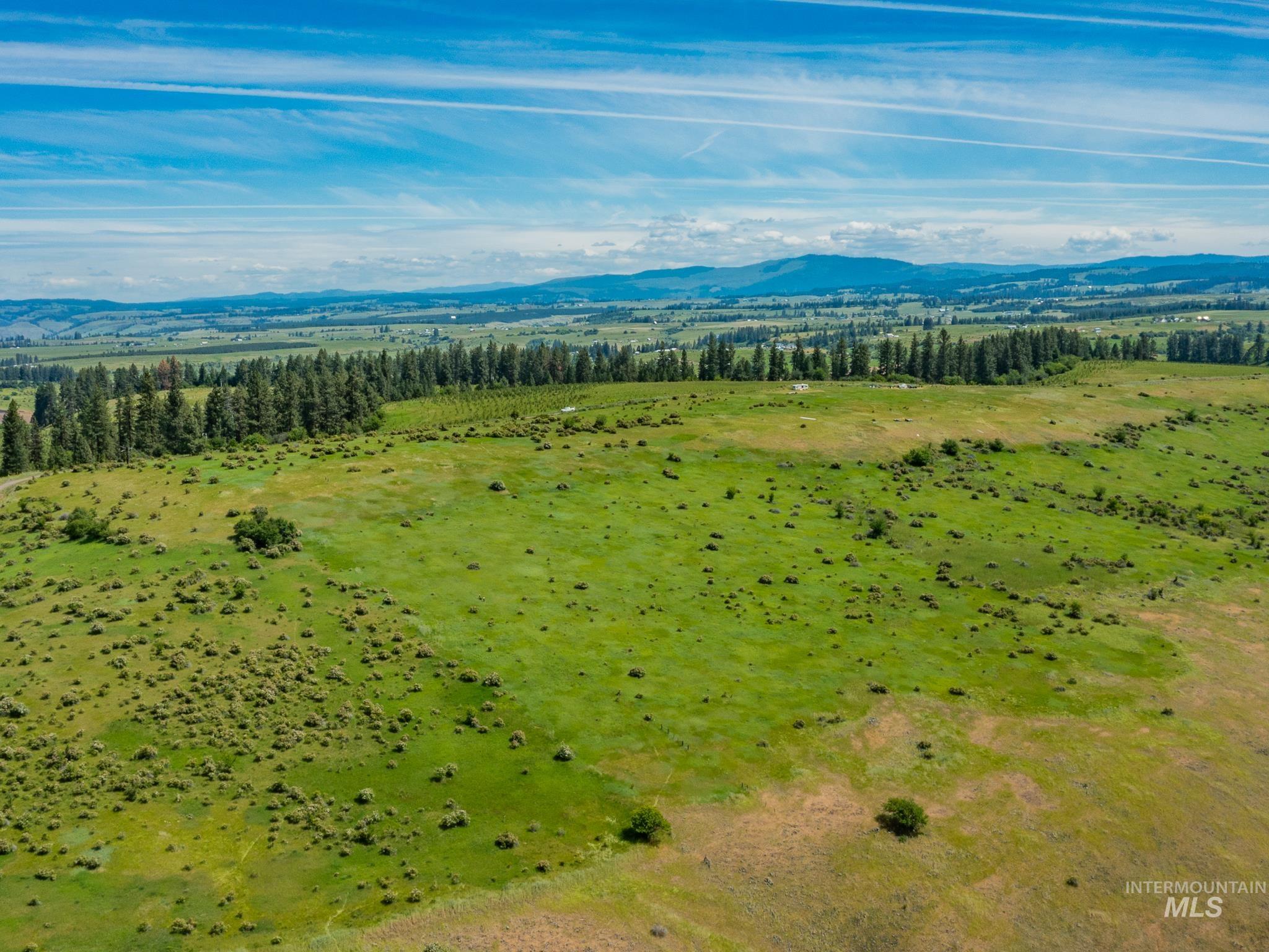 Tbd Brotnov Road Stites, ID 83552 - Photo 17 of 28