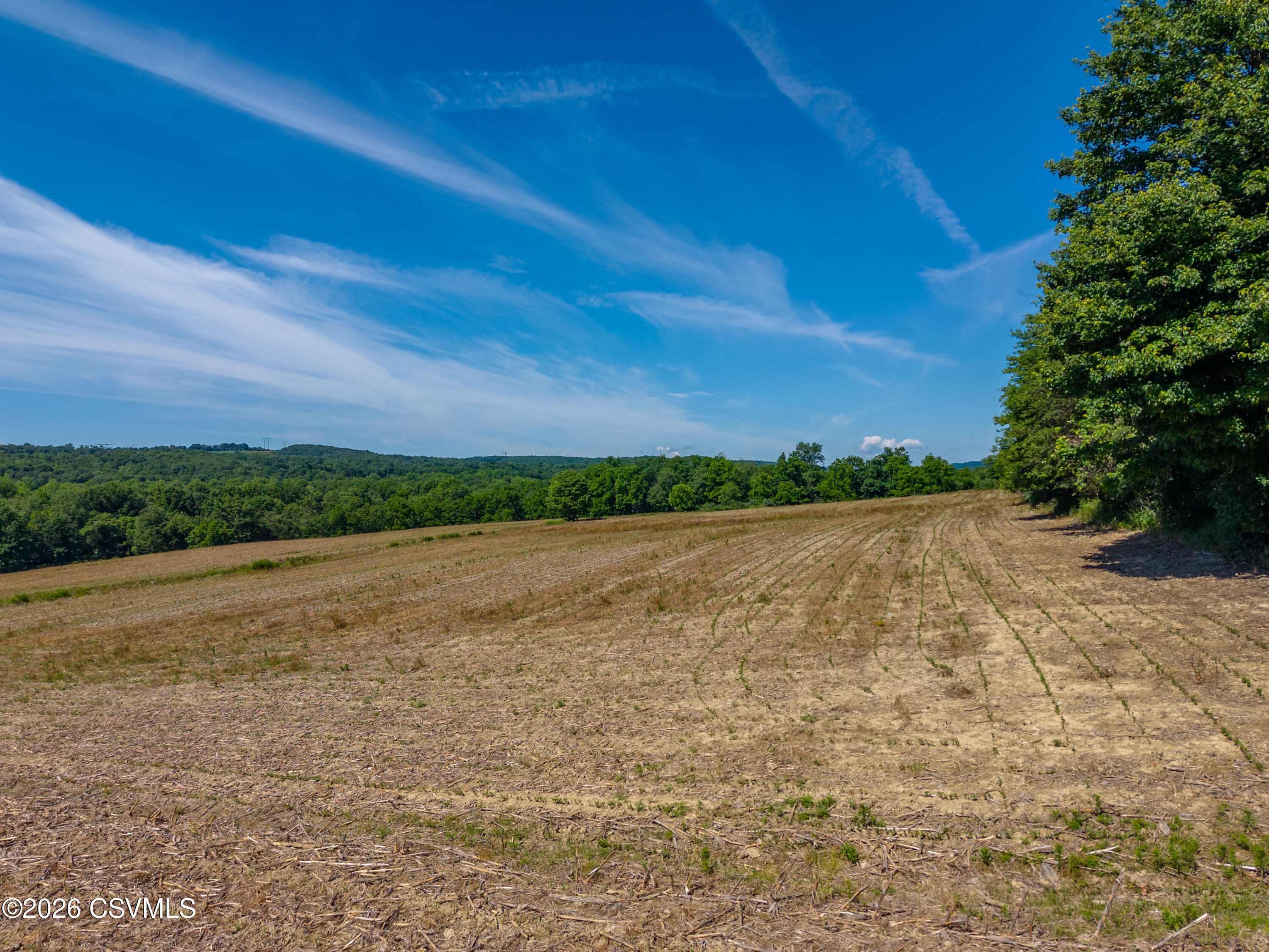 1 Snydertown Road Danville, PA 17821 - Photo 10 of 14