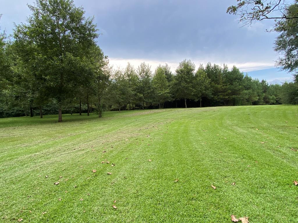 Tbd Charlie Magee Road Tylertown, MS 39667 - Photo 1 of 34 Main View