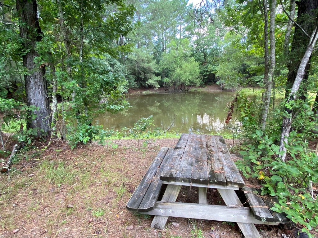 Tbd Charlie Magee Road Tylertown, MS 39667 - Photo 14 of 34 Photo 14