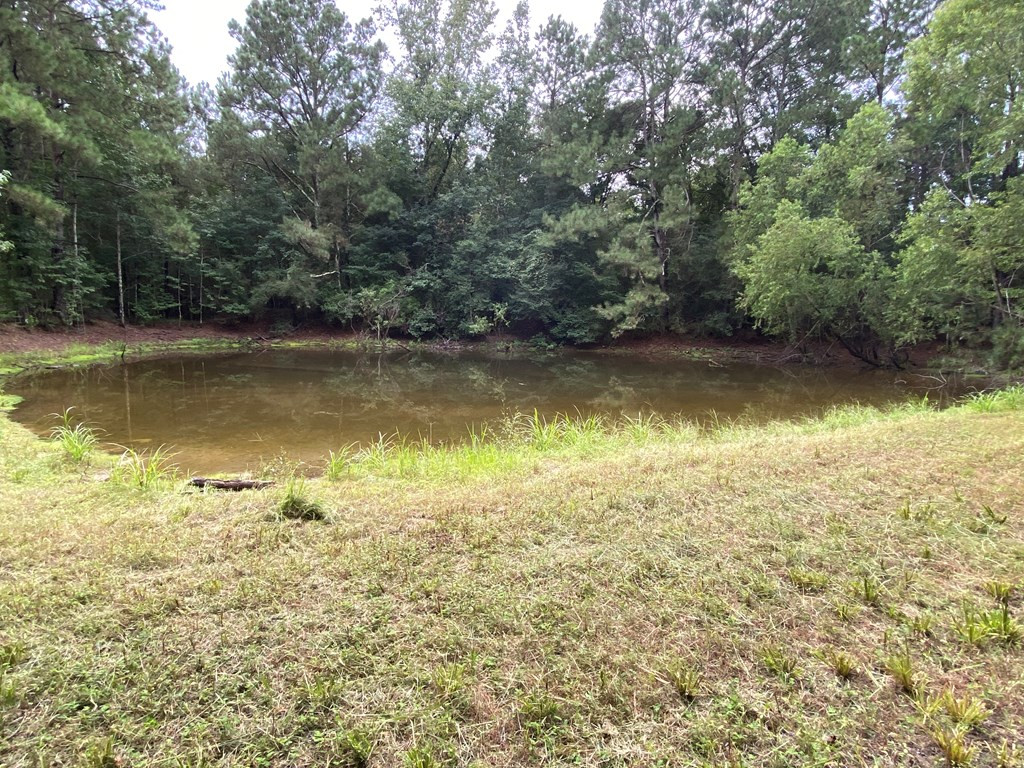 Tbd Charlie Magee Road Tylertown, MS 39667 - Photo 15 of 34 Photo 15