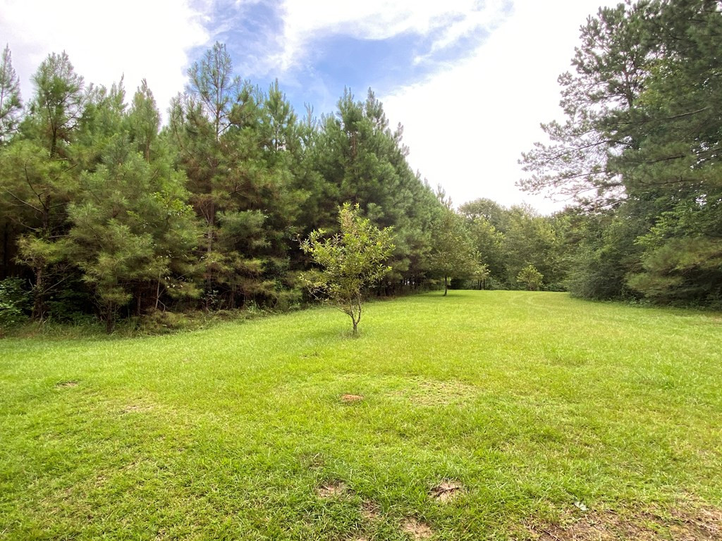 Tbd Charlie Magee Road Tylertown, MS 39667 - Photo 16 of 34 Photo 16