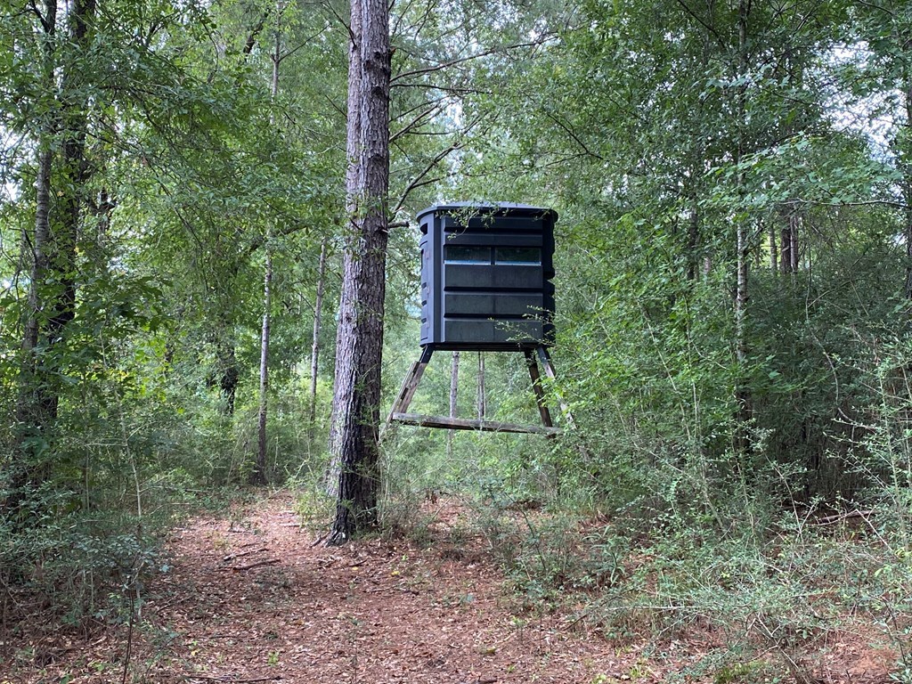 Tbd Charlie Magee Road Tylertown, MS 39667 - Photo 5 of 34 Photo 5