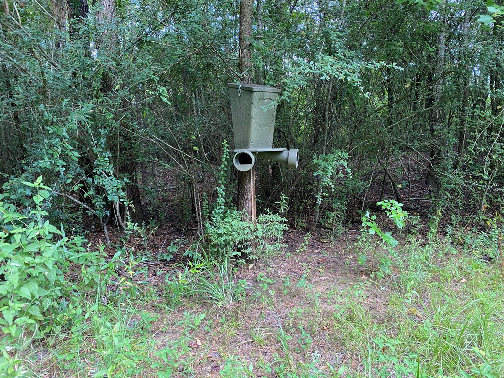 Tbd Charlie Magee Road Tylertown, MS 39667 - Photo 7 of 34 Photo 7