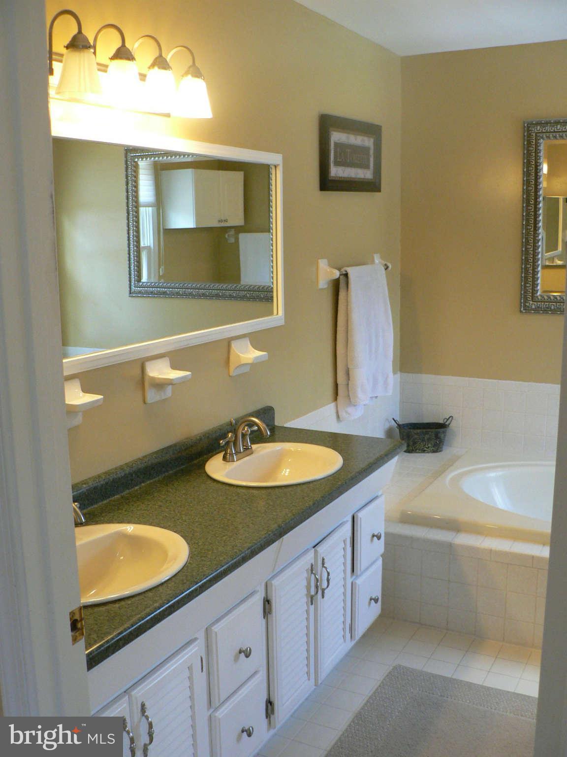 2 Barn Ridge Court Silver Spring, MD 20906 - Photo 13 of 29 Bath (Master)