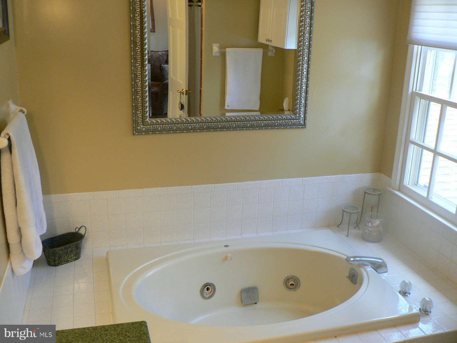 2 Barn Ridge Court Silver Spring, MD 20906 - Photo 14 of 29 Bath (Master)