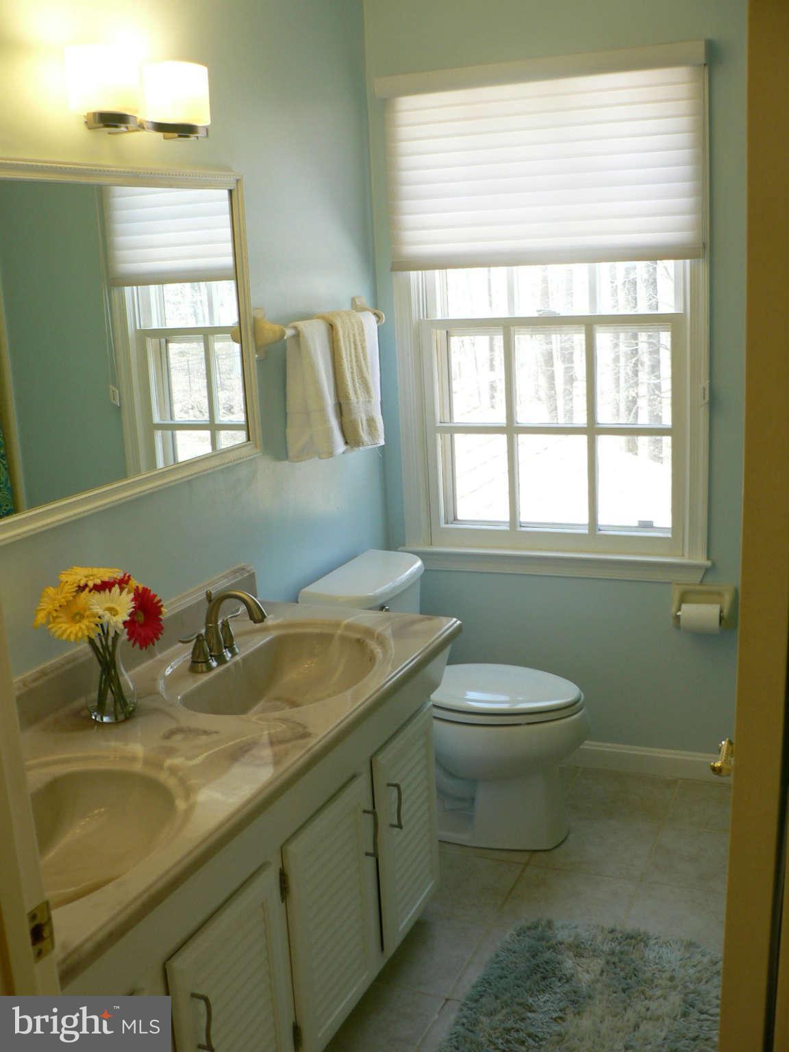 2 Barn Ridge Court Silver Spring, MD 20906 - Photo 18 of 29 Bath