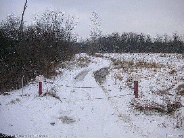 13332 Bemis Road Manchester, MI 48158 - Photo 25 of 25 Bemis, Vacant 024
