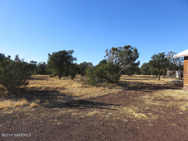 7750 Rocky Ridge Williams, AZ 86046 - Photo 20 of 21 IMG_1064