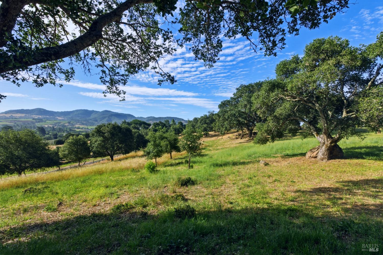 1430 Coombsville Road Napa, CA 94558 - Photo 7 of 50