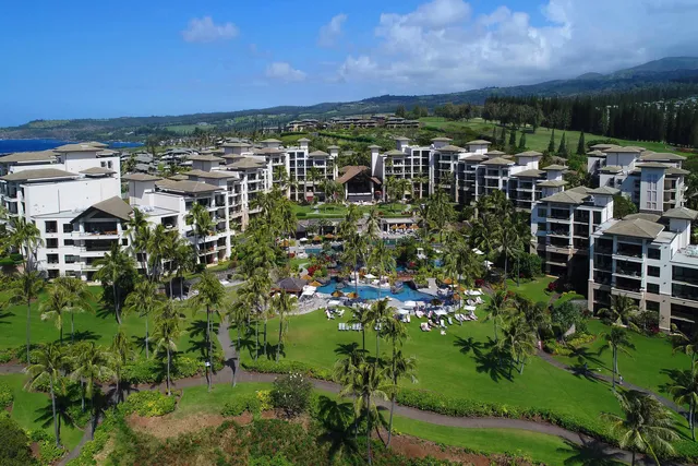 a view of a swimming pool with lawn chairs and plants
