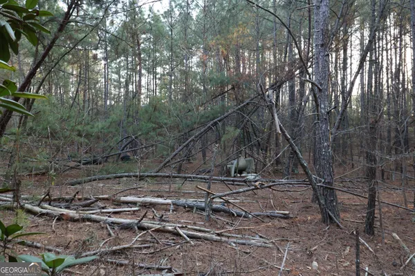 a backyard of a house with lots of trees