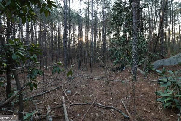 a view of a yard with a tree