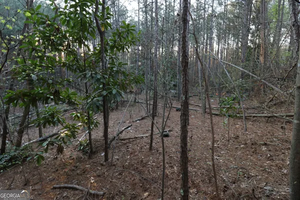 $169,900 | 0 Causey Chapel Circle Southwest, Austell, GA 30106