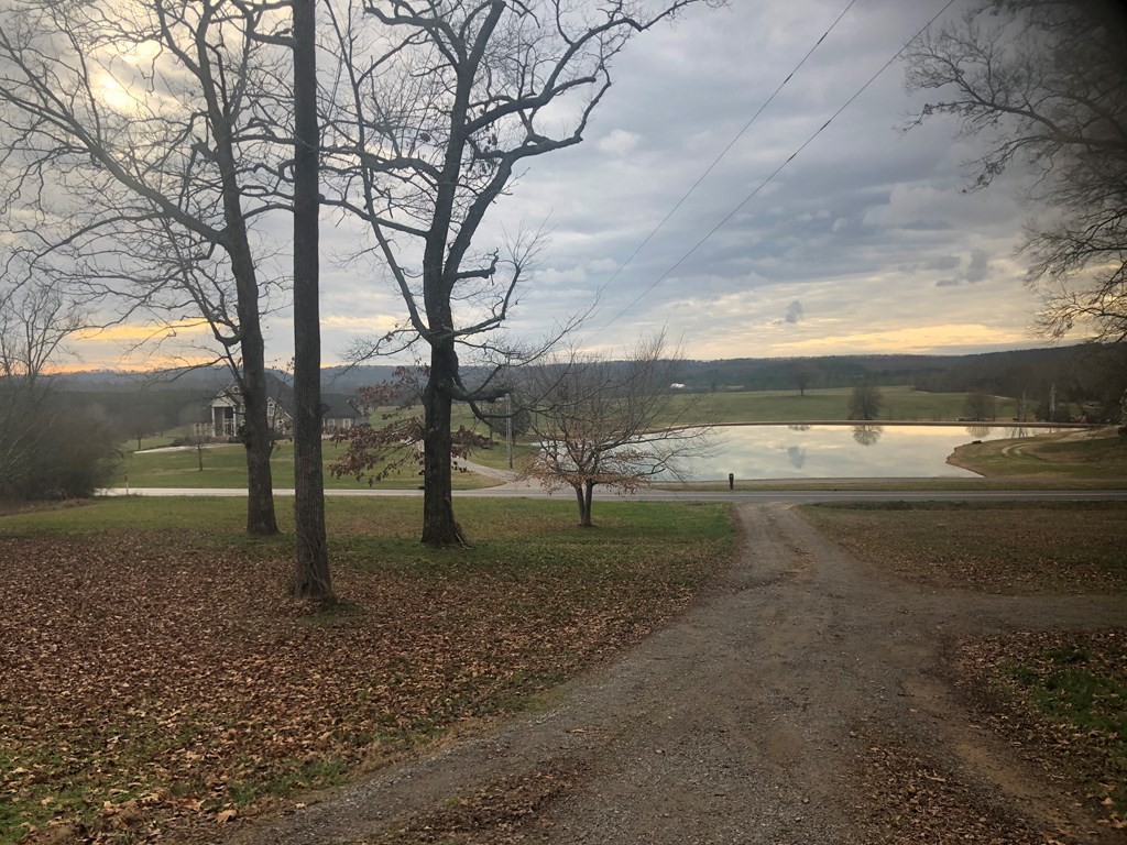 161 East Armuchee Road LaFayette, GA 30728 - Photo 2 of 20 a backyard of a house with lots of green space