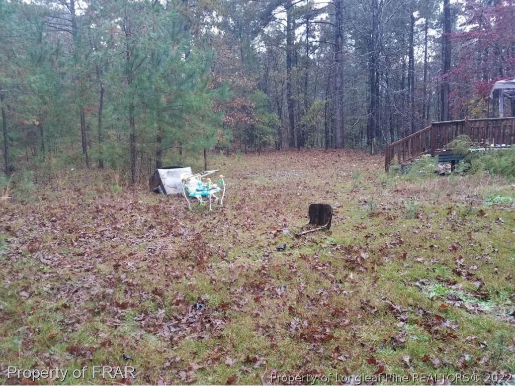 272 Town Branch Road Vass, NC 28394 - Photo 4 of 20 a backyard of a house with lots of green space