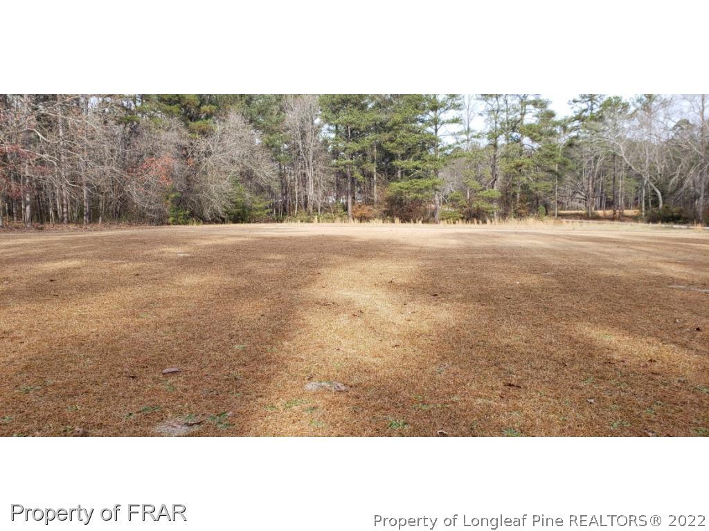 272 Town Branch Road Vass, NC 28394 - Photo 5 of 20 a view of outdoor space and yard