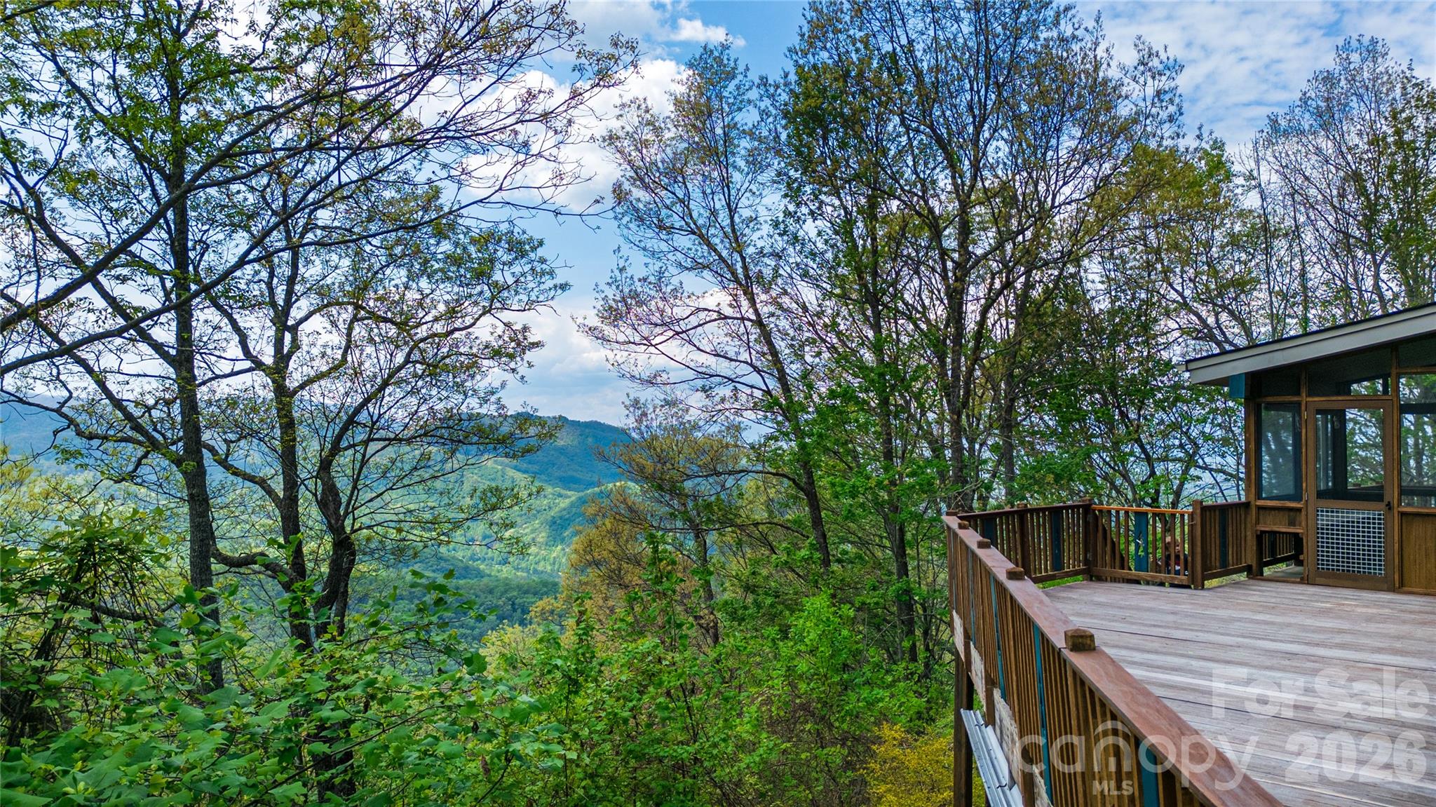 1602 Forest Run Road Whittier, NC 28789 - Photo 13 of 42 a view of backyard with furniture and trees