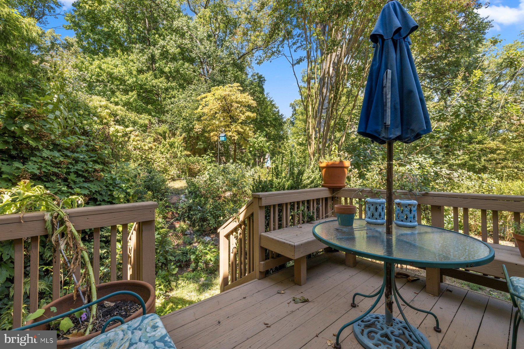 415 Schuyler Road Silver Spring, MD 20910 - Photo 26 of 32 Rear deck