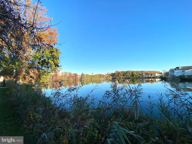 a view of a lake in middle of forest