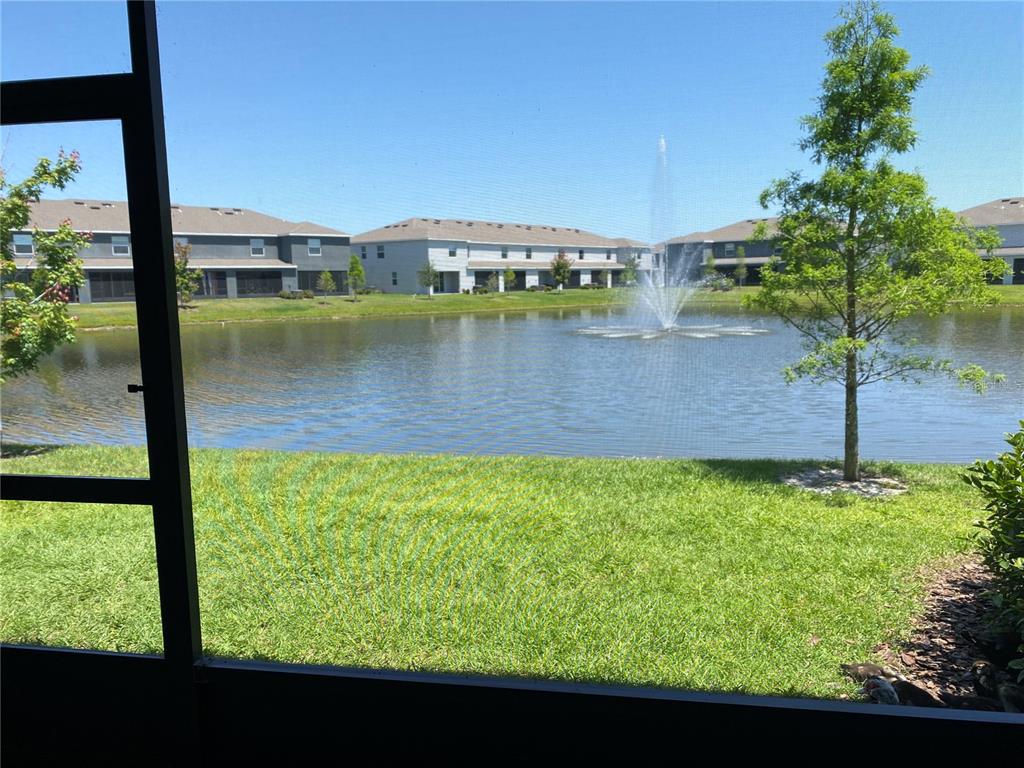8642 Falling Blue Place Riverview, FL 33578 - Photo 13 of 26