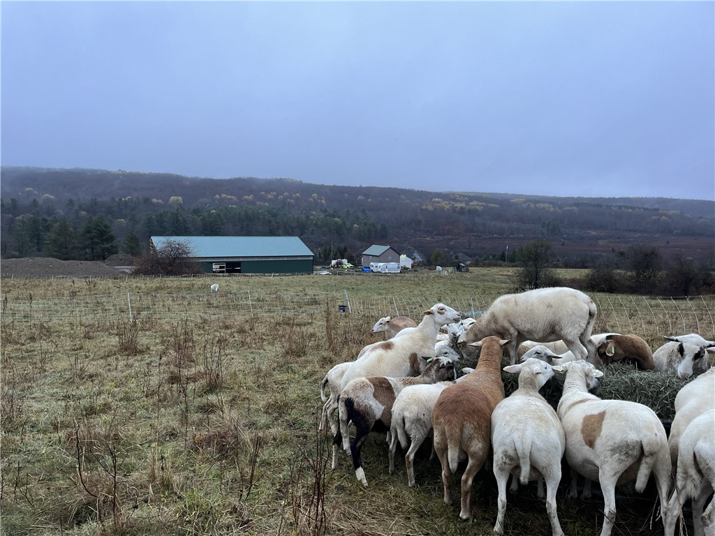 8781 Old State Road Allen, NY 14709 - Photo 20 of 45 Gallery Image 20