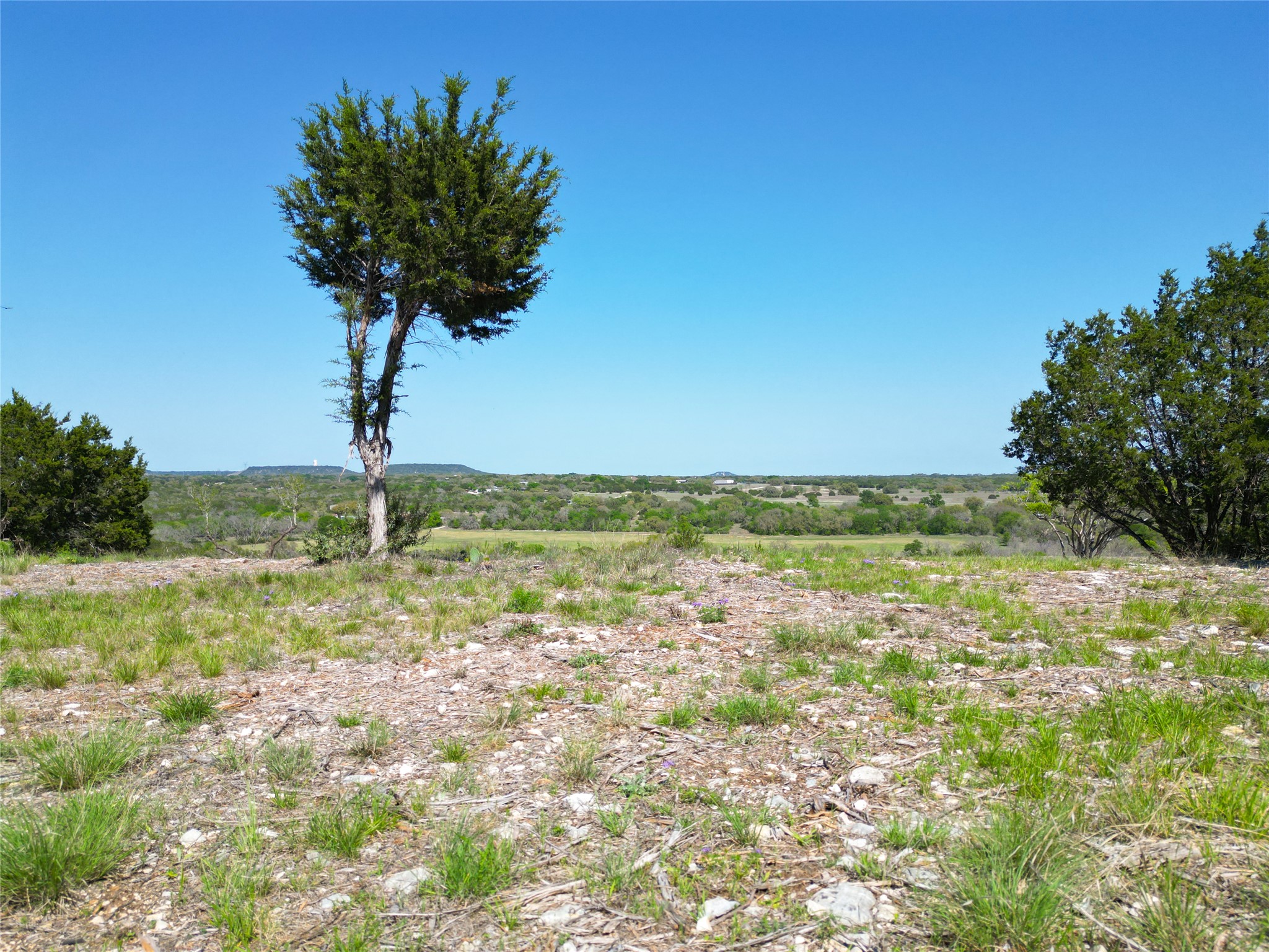 Tbd Cascade Drive Killeen, TX 76549 - Photo 4 of 15 a view of a garden