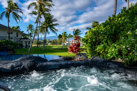 a view of a garden with a tree in front of it