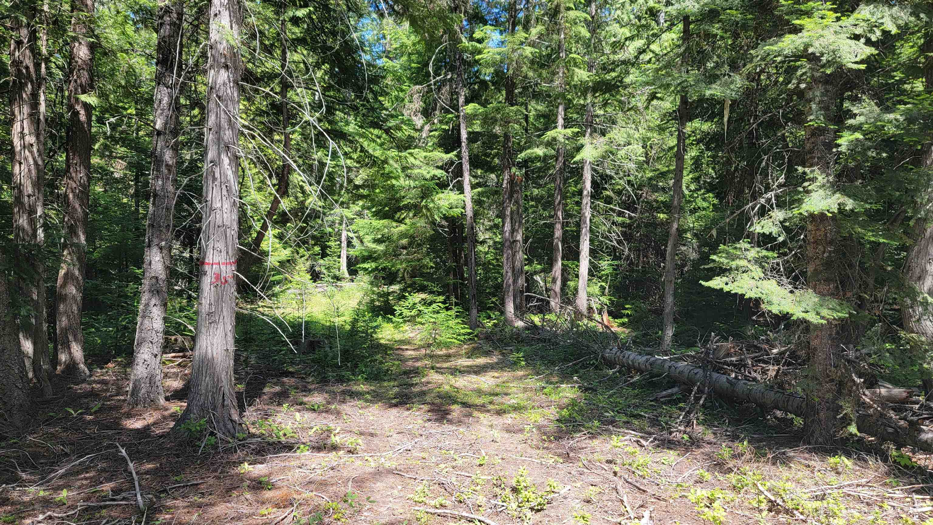 Nkn Bead Lake Road Newport, WA 99156 - Photo 44 of 44 Gallery Image 44