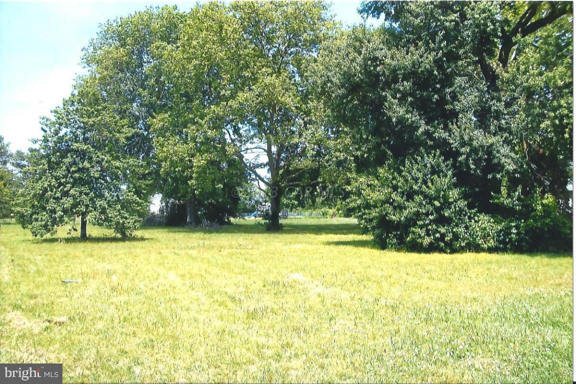 27752 Fitzgerald Road Princess Anne, MD 21853 - Photo 2 of 4