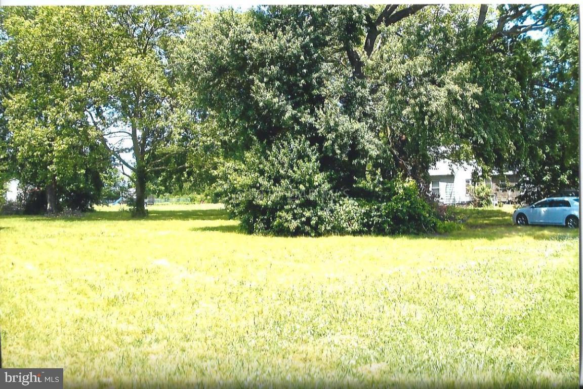 27752 Fitzgerald Road Princess Anne, MD 21853 - Photo 3 of 4