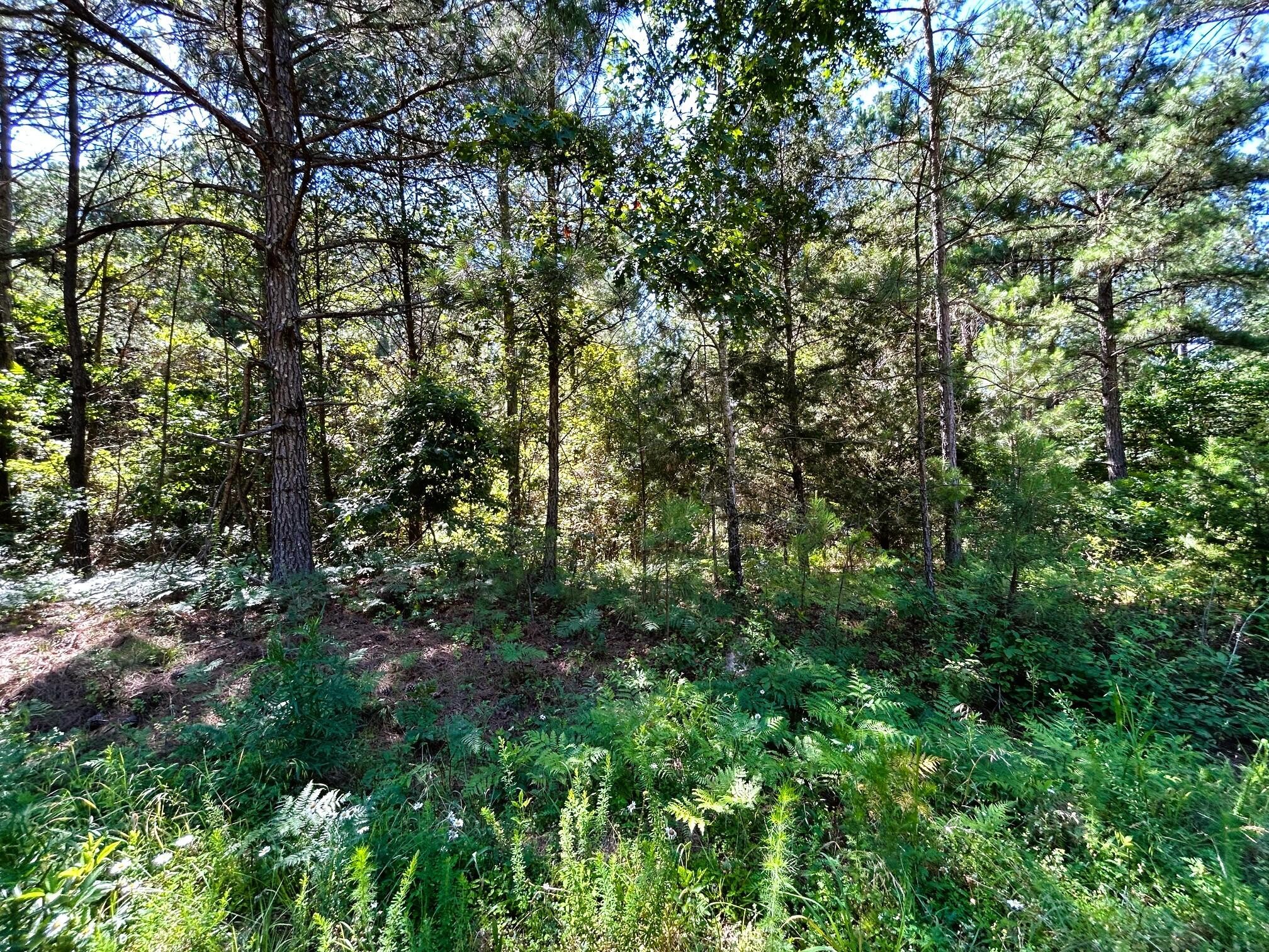 151 Charles Road Decatur, TN 37322 - Photo 9 of 13