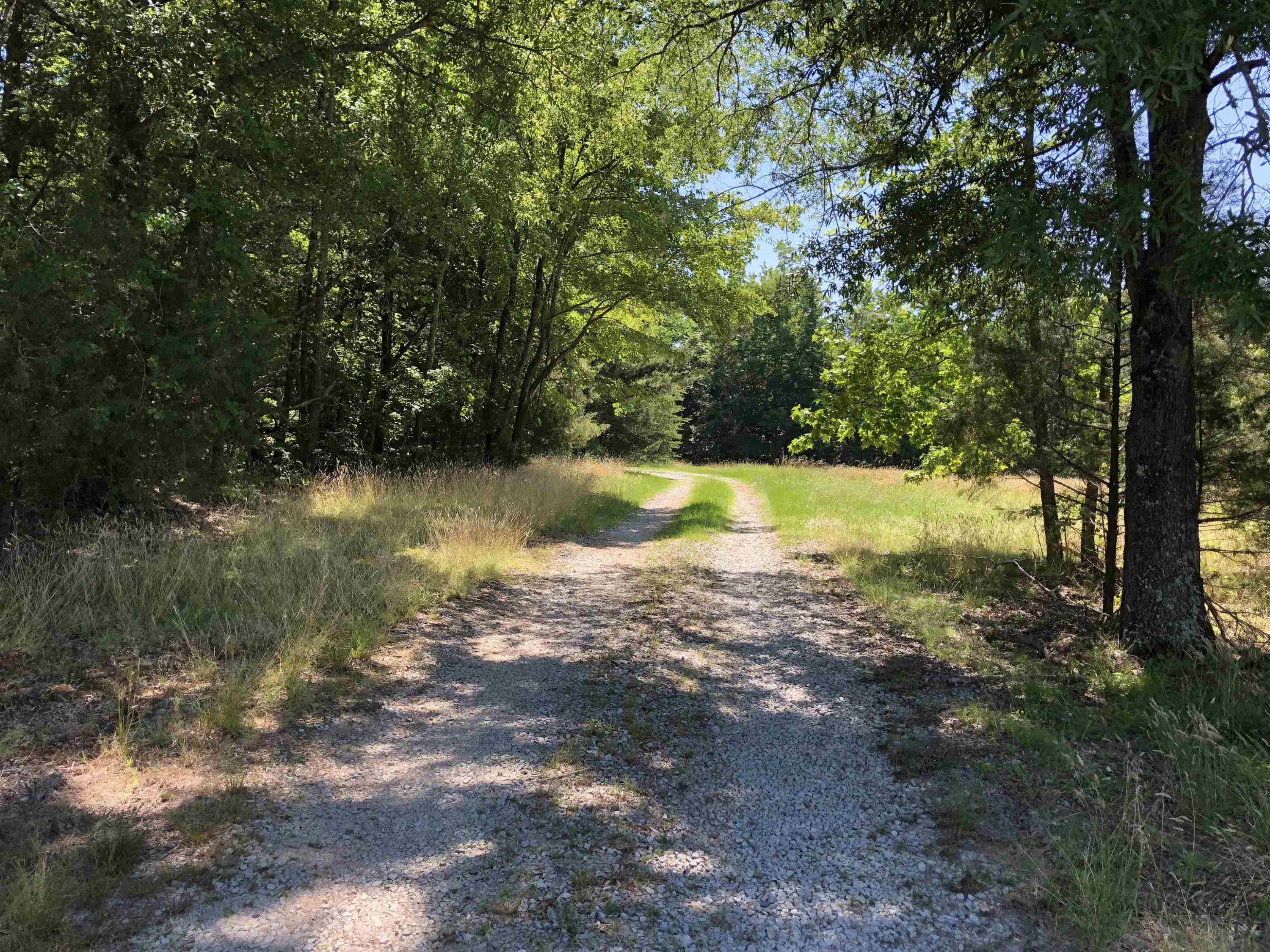 281 Allen Creek Road Rougemont, NC 27572 - Photo 3 of 13 Photo 3