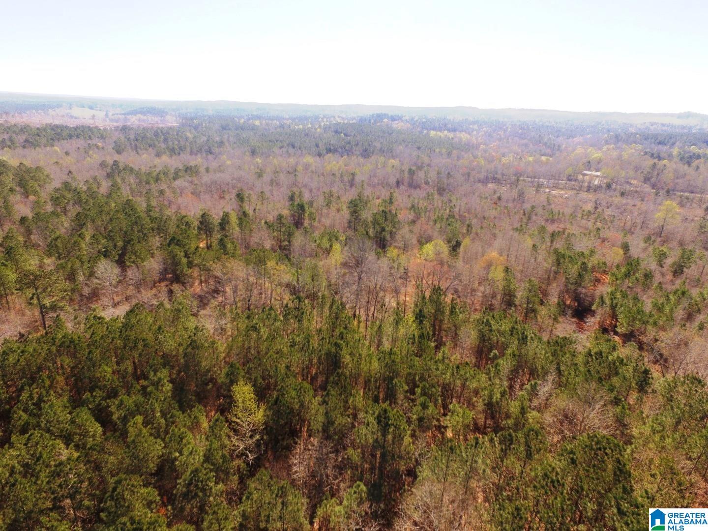 3045 Corinth Road, Unit 56 ACRES Cragford, AL 36255 - Photo 25 of 29