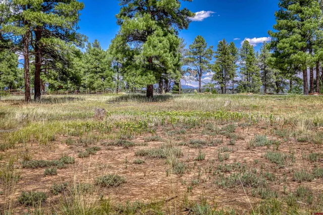 a view of outdoor space with trees